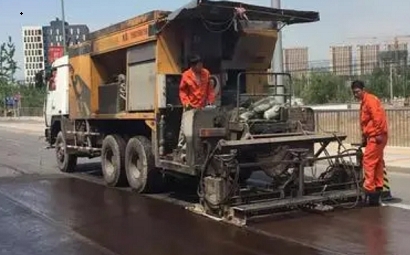 سلری سگ ماہی کی تعمیر کے لئے احتیاطی تدابیر